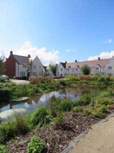 Loftus Village Green