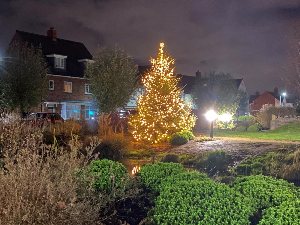 Loftus xmas tree 2