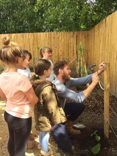 Pumpkin Planting 1