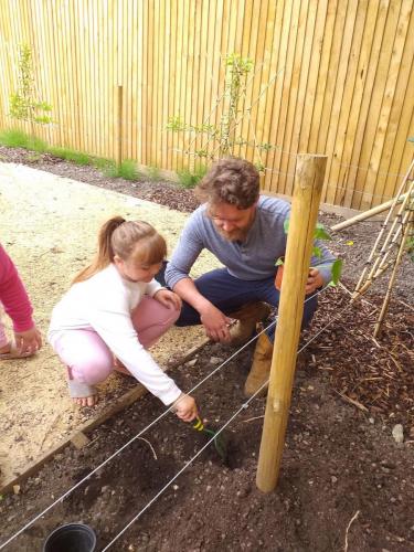 Pumpkin Planting 5