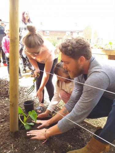 Pumpkin planting 4