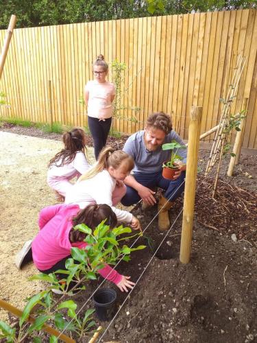 Pumpkin planting 6