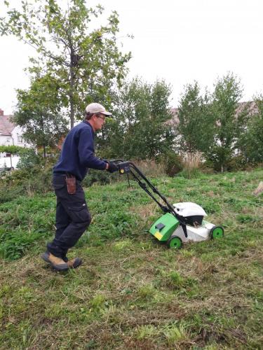 mowing meadow